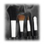 SET DE BROCHAS BLACK SHADOW